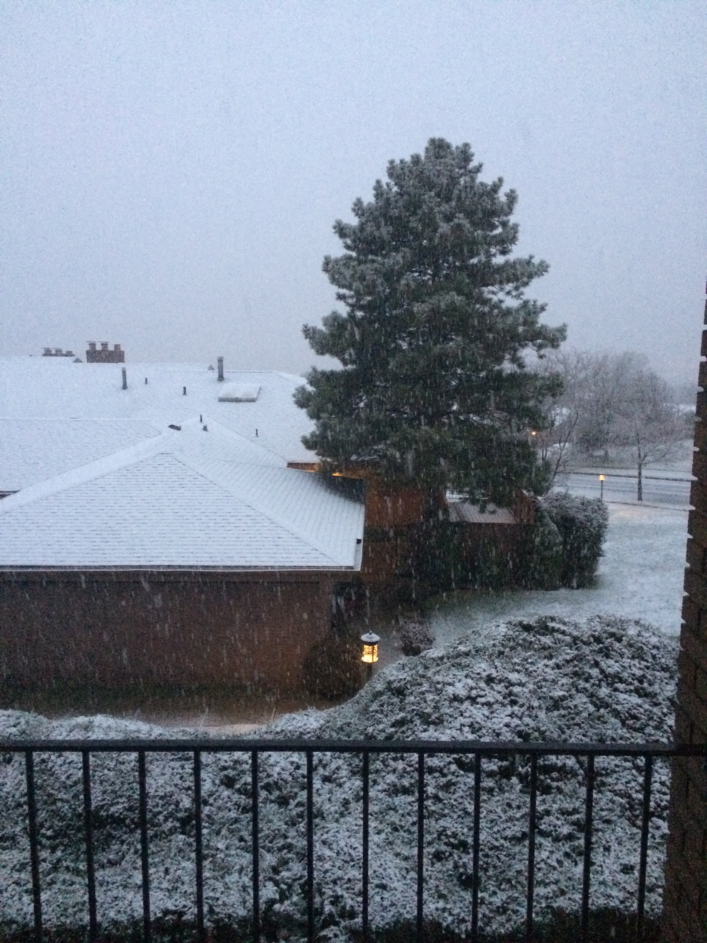 First Snow Nov. 22, 2014 17