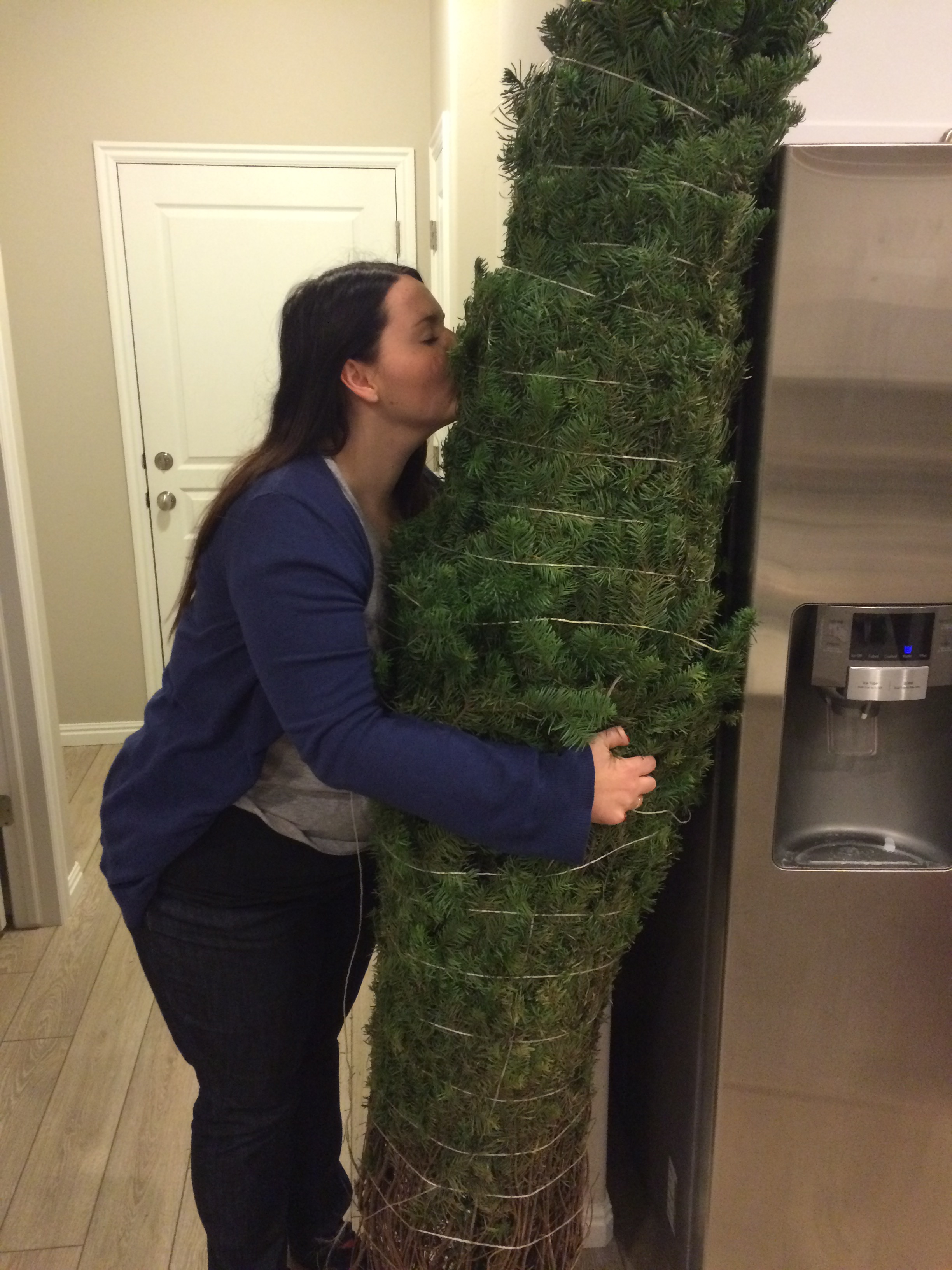 Oh Christmas Tree Dec. 3, 2014 162