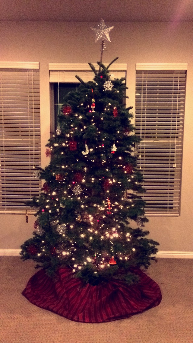 Oh Christmas Tree Dec. 3, 2014 202